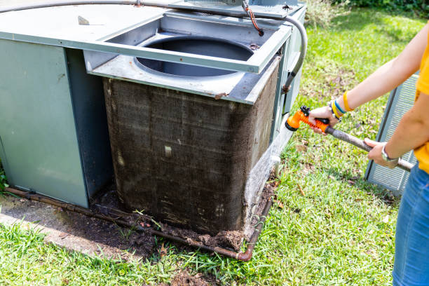 Air Duct Mold Removal in WA